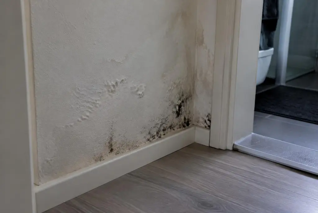 Lekdetectie Ridderkerk – vochtplek met schimmel op een muur